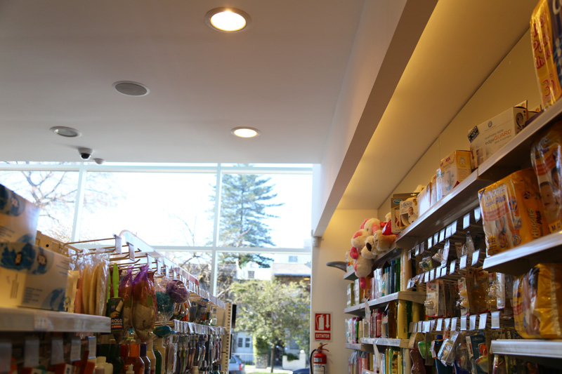 Galeria
