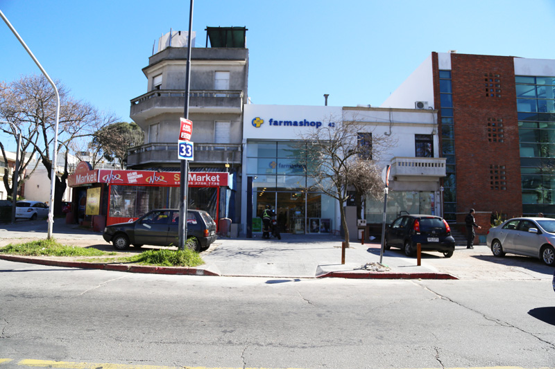 Galeria